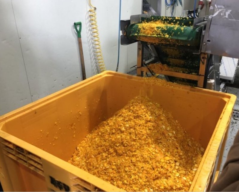 인터넷 바카라박 (농촌진흥청 제공) 2025.11.6 /인터넷 바카라1