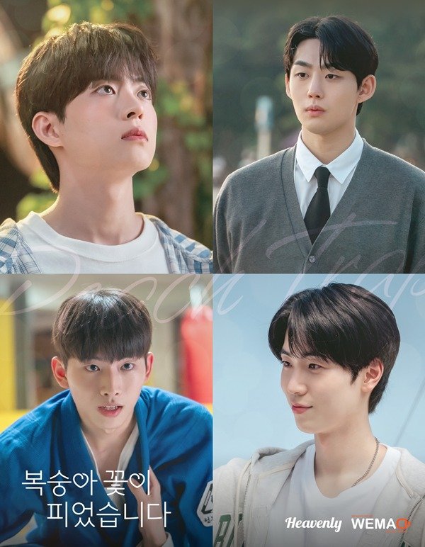 BL 드라마 '복숭아 꽃이 피었습니다'…글로벌 OTT 화제작 우뚝