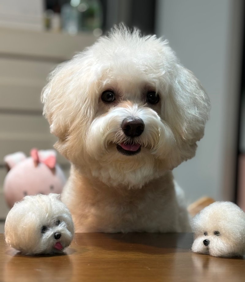 ‘최우수상’으로 선정된 ‘너를 닮은 시간’(김지원 작) *재판매 및 DB 금지