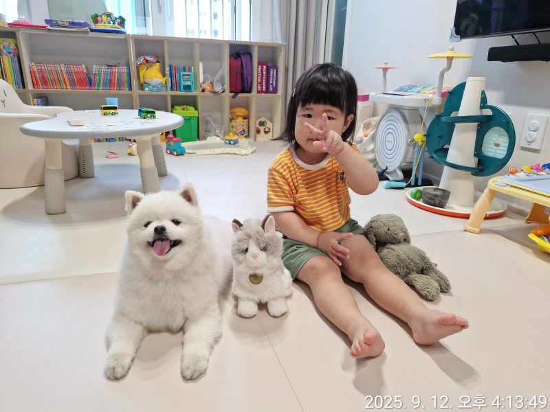 반려견 부문 우수상 ‘가장 카메라를 잘 아는 자’(정명심 작)