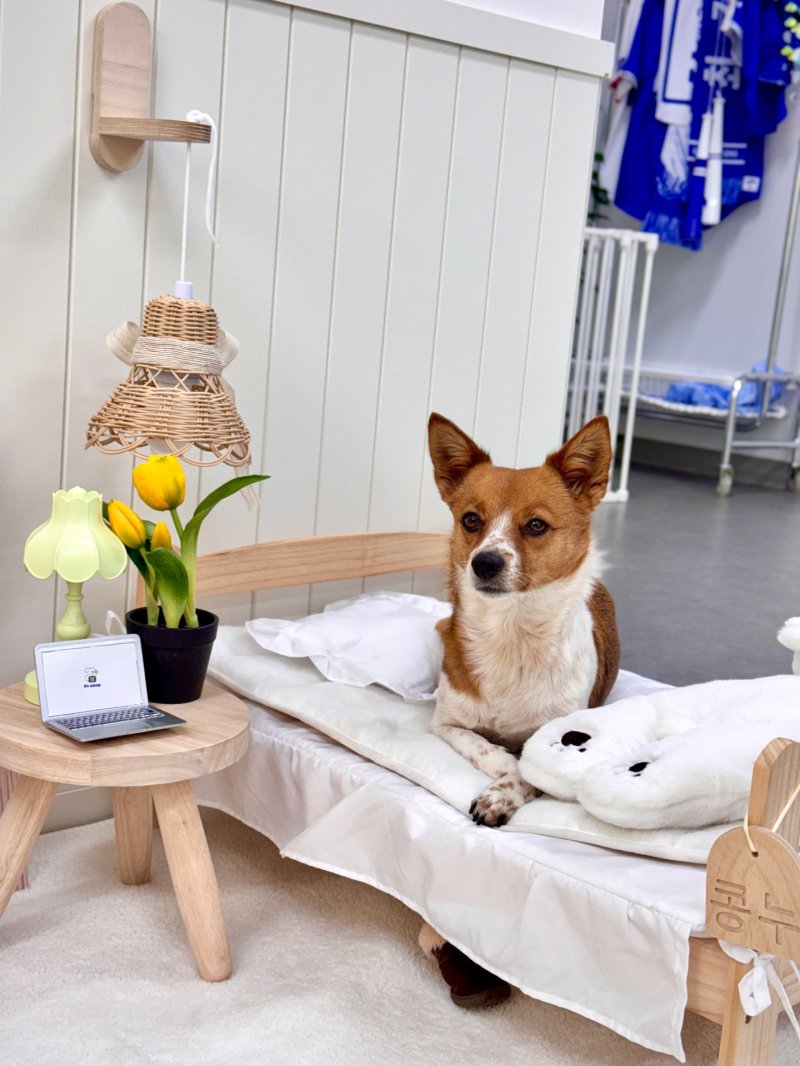 반려견 부문 대상 ‘지쳤나요…? 네니요’(전하윤 작) *재판매 및 DB 금지