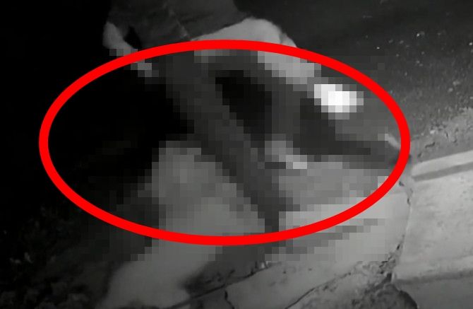 반갑다고 꼬리 흔드는 개에게 벽돌 던진 만취 남성