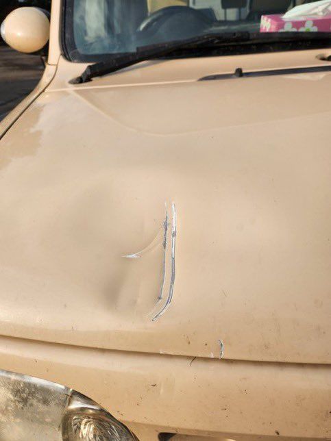 야간 주행 중에 야생 곰 습격 받아, 영상 보니 '아찔'