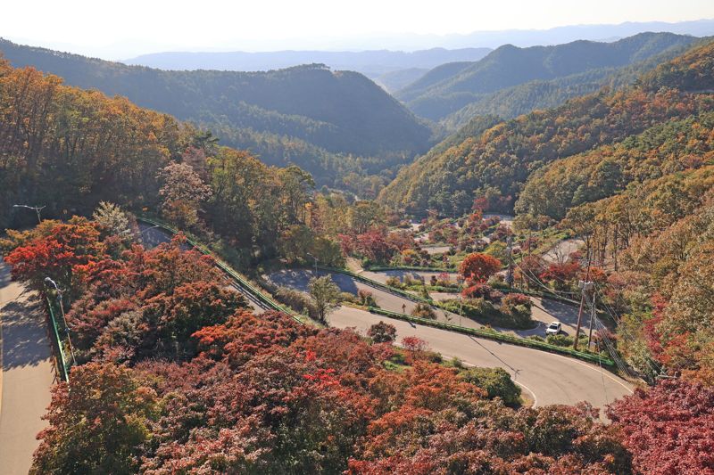 말티재는 충북 보은군 장재리와 속리산면 갈목리를 연결하는 해발 약 430 m 지점의 고갯길로, 열두 굽이로 대표되는 와인딩 도로가 특징이다. 가을의 단풍이 도로와 숲을 붉게 물들이며, 드라이브와 산책 모두에 적합한 경관을 제공한다. 사진=서동일 기자