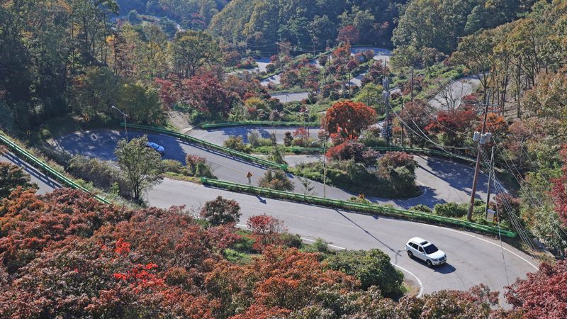 말티재는 충북 보은군 장재리와 속리산면 갈목리를 연결하는 해발 약 430 m 지점의 고갯길로, 열두 굽이로 대표되는 와인딩 도로가 특징이다. 가을의 단풍이 도로와 숲을 붉게 물들이며, 드라이브와 산책 모두에 적합한 경관을 제공한다. 사진=서동일 기자