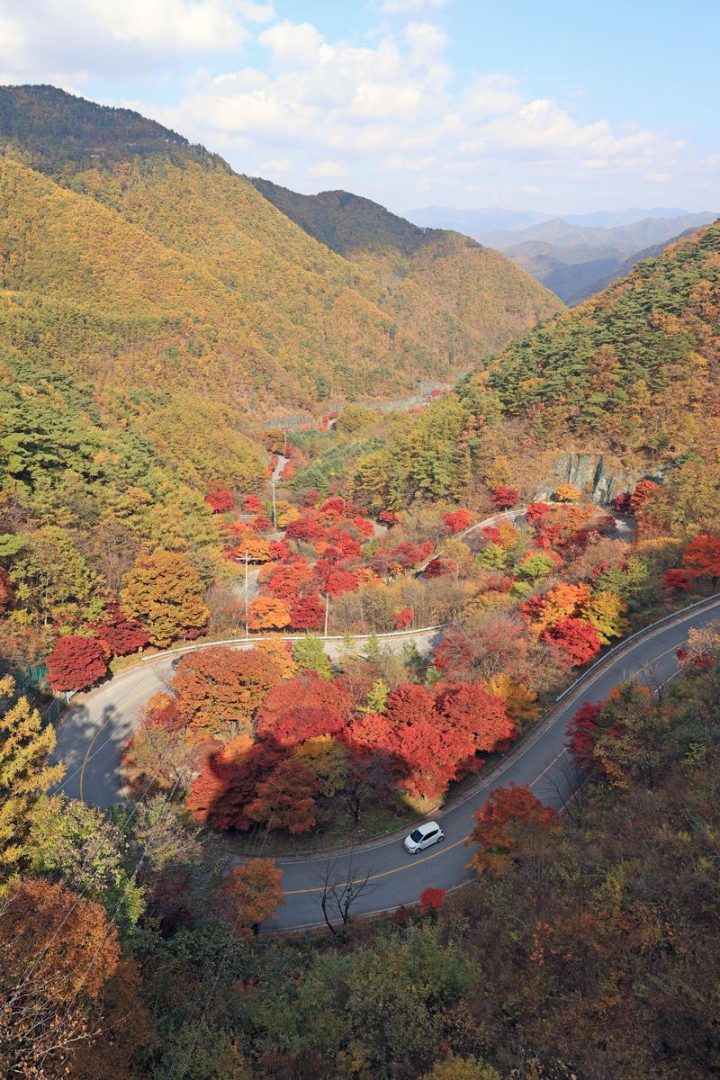 보발재는 충북 단양군 가곡면 보발리와 영춘면 백자리를 잇는 고갯길로, 해발 약 540 m 지점에서 약 3 km에 걸쳐 붉은 단풍길이 완성된다. 굽이굽이 도로 위로 단풍이 터널처럼 펼쳐져, 가을 드라이브 명소로 꼽힌다.