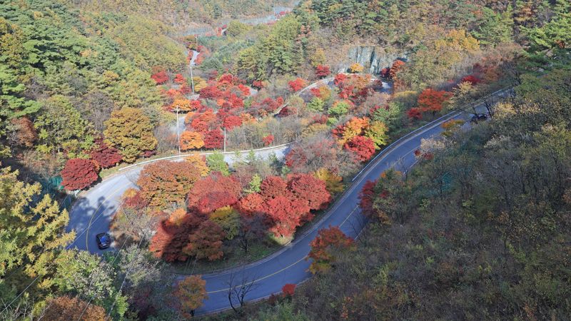 보발재는 충북 단양군 가곡면 보발리와 영춘면 백자리를 잇는 고갯길로, 해발 약 540 m 지점에서 약 3 km에 걸쳐 붉은 단풍길이 완성된다. 굽이굽이 도로 위로 단풍이 터널처럼 펼쳐져, 가을 드라이브 명소로 꼽힌다.