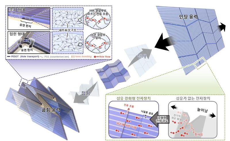유연한 고분자 전극 소자(PEDOT:PSS)에 나일론 섬유를 내장하여 여러 번 접고, 당겨도 높은 내구성을 유지하는 오리가미 전자장치의 개략도. 고분자 전극 소자의 분자 간 네트워크 구조로 인한 접힘 안정성과, 내장된 나일론 섬유로 인해 당기는 힘에도 찢김이 방지되는 현상을 보여준다. 아주대 연구팀 제공