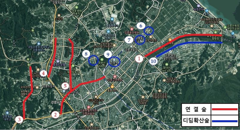 강릉시 도시 바람길 숲 조성사업 위치도. 강릉시 제공