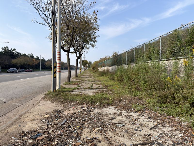 5일 군산국가산업단지 도보에 잡초와 잡동사니들이 어질러져 있다. 정원일 기자