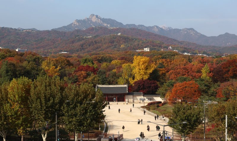 [온라인바카라=뉴시스] 조성우 기자 = 11일 오후 온라인바카라 종로구 종묘 주변이 울긋불긋 단풍으로 물들어 있다. 2025.11.11. xconfind@newsis.com