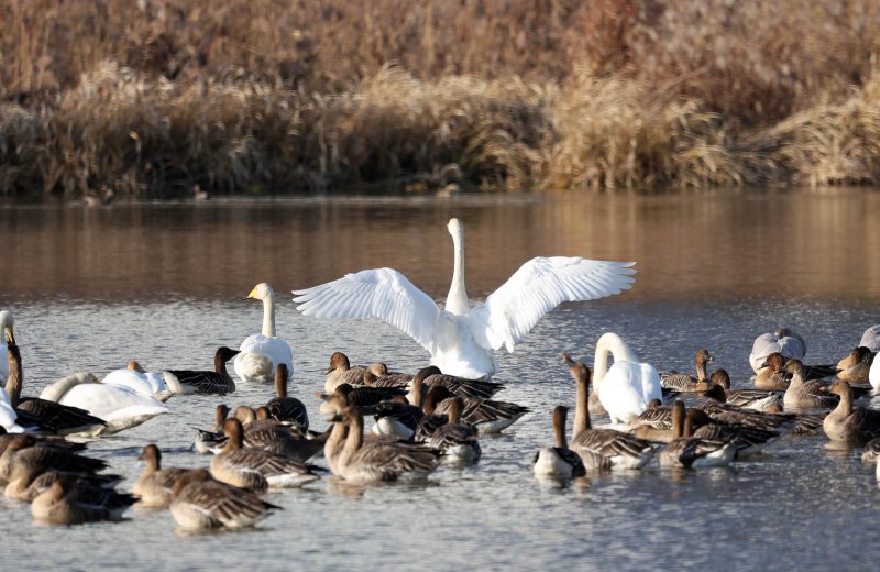광주 바카라사이트 온카판 신용동 영산강변 일대의 모습. 바카라사이트 온카판1 DB