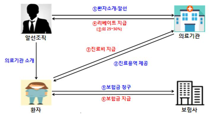김씨와 B회사의 직원들은 환자를 병원에 소개했다. 병원은 진료비의 25~30%를 리베이트로 지급받으며, 환자는 보험사에 실손보험금을 청구·수령했다. 서울경찰청 제공