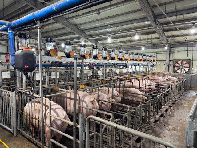 [세종=뉴메이저 바카라]스톨형 사료급이 메이저 바카라템. (사진=농촌진흥청 제공) *재판매 및 DB 금지