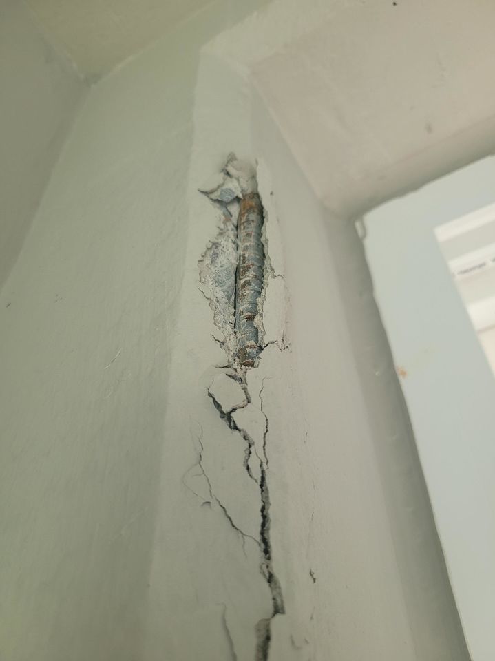 "신축아파트에 곰팡이 피고, 철근도 튀어나왔다"