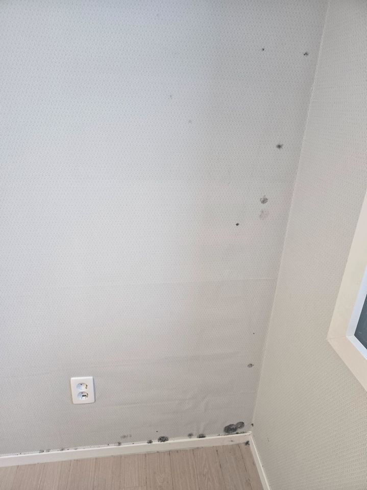 신축아파트에 곰팡이 피고, 철근도 튀어나왔다