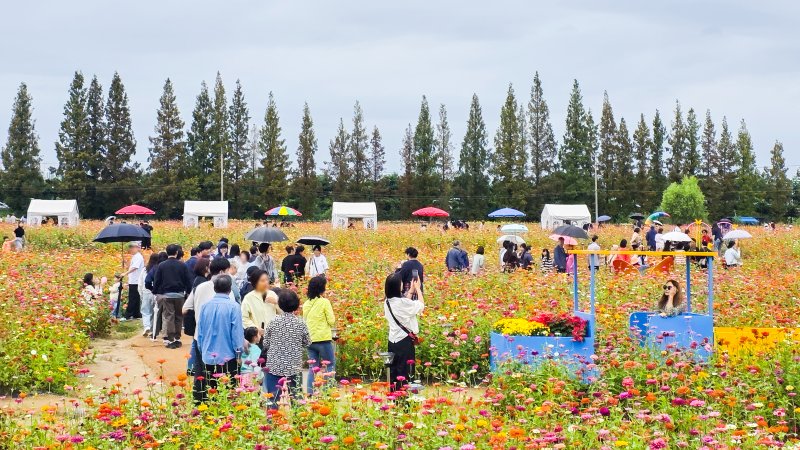 (출처=메이저 바카라/NEWSIS)