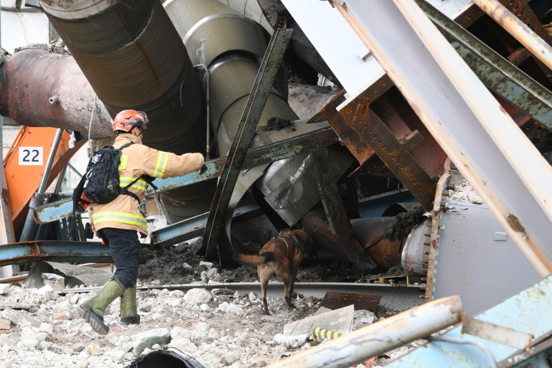 12일 오전 울산화력발전소 실시간 바카라사이트 사고 현장에서 119구조견과 핸들러가 위치가 확인되지 않은 매몰자를 찾기 위해 수색활동을 하고 있다. (소방청 제공. 재판매 및 DB 금지) 2025.11.12/실시간 바카라사이트1