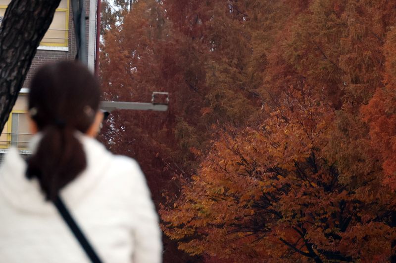 2026학년도 대학수학능력시험일인 13일 오전 인천시 계양구 계산여자고등학교에 마련된 인천시교육청 25지구 제31시험장 입구에서 수험생들이 고사장으로 향하고 있다. 사진=서동일 기자