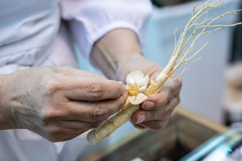 가을 바람이 이끄는대로... 인삼 향기에 취하다[Weekend 레저] - 뉴스 썸네일 이미지