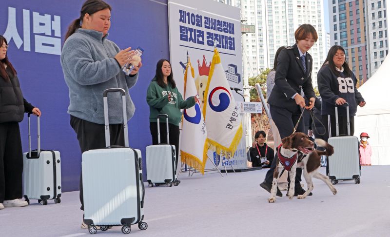 14일 인천 영종도 하늘체육공원에서 열린 관세청장배 탐지견 경진대회에서 우지연 인천공항세관 소속 마약탐지견 핸들러와 탐지견 팬텀이 마약 탐지 시연을 하고 있다. 사진=박범준 기자