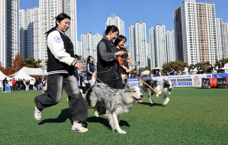 14일 인천 영종도 하늘체육공원에서 열린 관세청장배 탐지견 경진대회에 참가한 탐지견과 학생핸들러들이 대회 시작에 앞서 연습하고 있다. 사진=박범준 기자