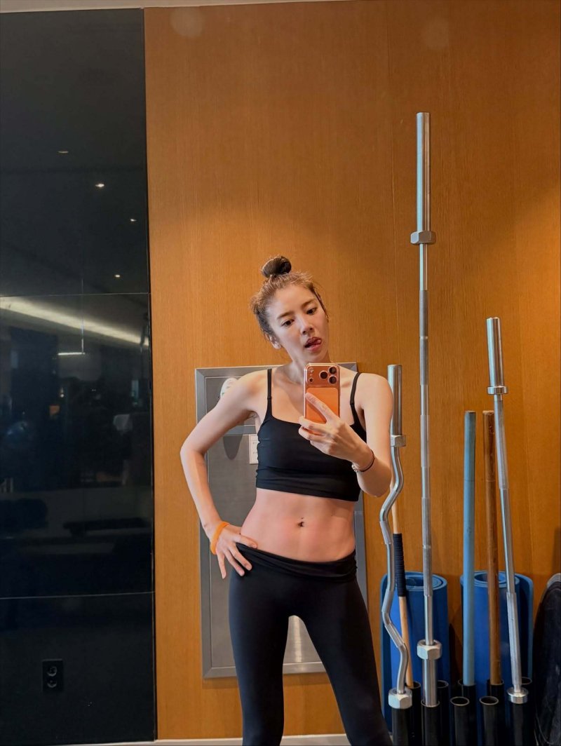 '출산 7개월' 손담비, 브라톱 입고 복근 자랑 운동한 보람 [N샷]
