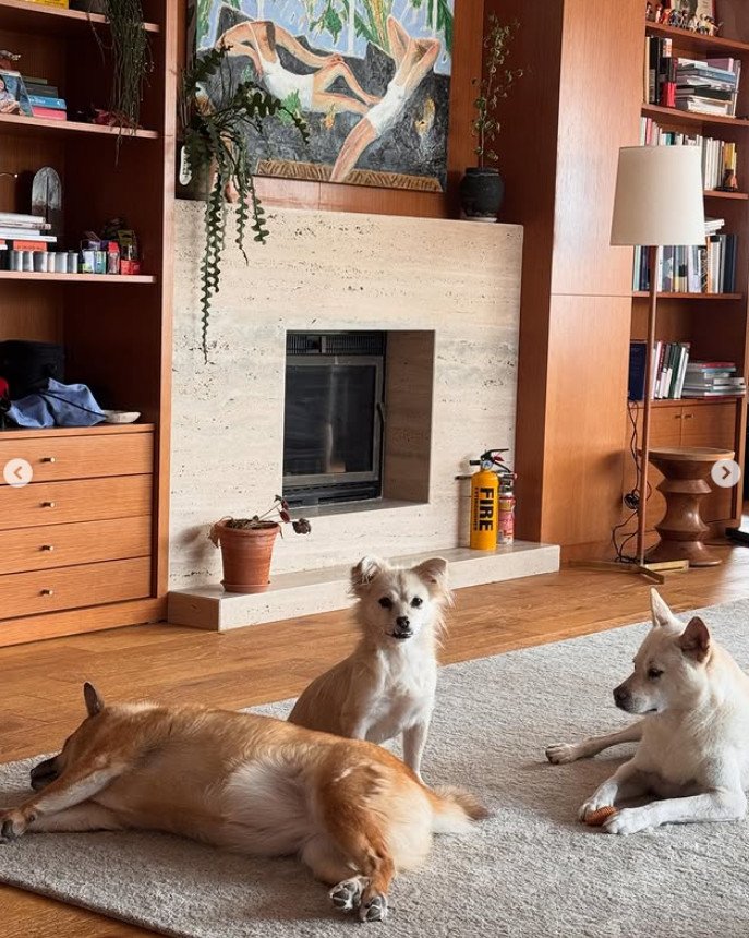 이효리♥이상순, 아늑한 60억 단독주택 내부…반려견들과 평온한 일상