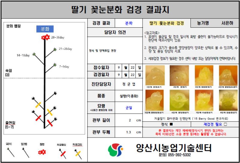 [양산=뉴시스] 바카라사이트 비타임 꽃눈분화 검경 결과지. (사진=양산시 제공) 2025.11.15. photo@newsis.com *재판매 및 DB 금지