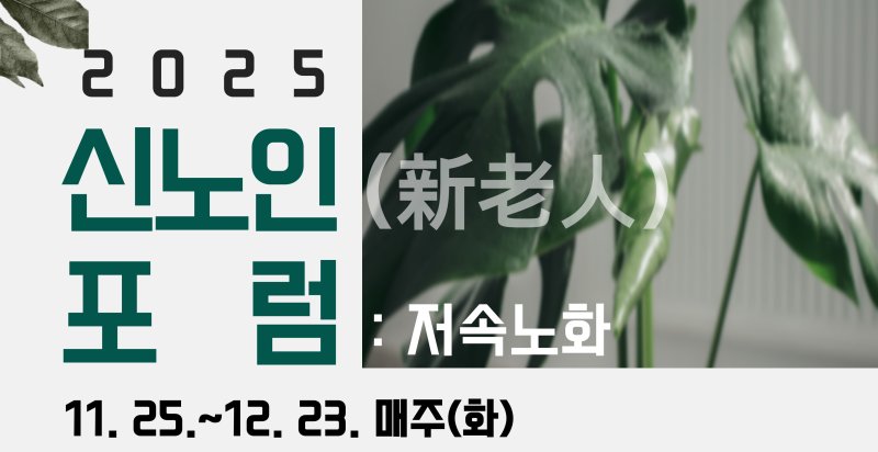 [대구=온라인 바카라사이트] 수성문화재단 용학도서관은 2025 신노인온라인 바카라사이트을 운영한다. (그래픽 = 수성문화재단 제공) 2025.11.15. photo@newsis.com *재판매 및 DB 금지