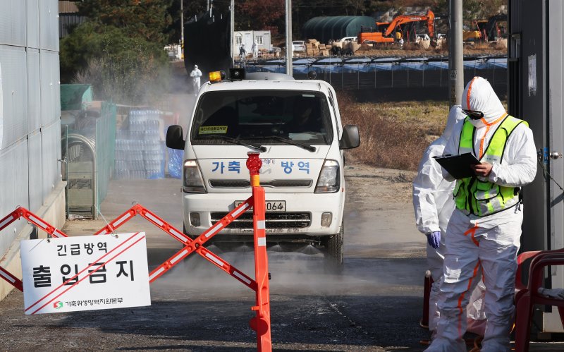 16일 고병원성 조류인플루엔자 항원이 확인된 경기 화성시 한 산란계 농장 주변에서 방역차가 방역을 하고 있다. 연합뉴스