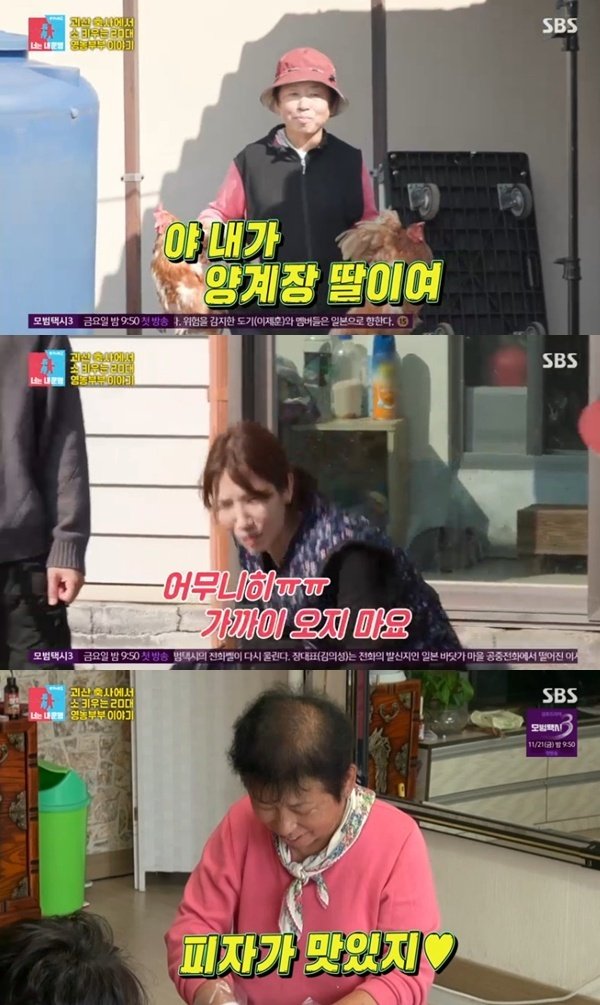 '영농부부' 천혜린, 닭 잡은 시어머니에 경악→피자 선물