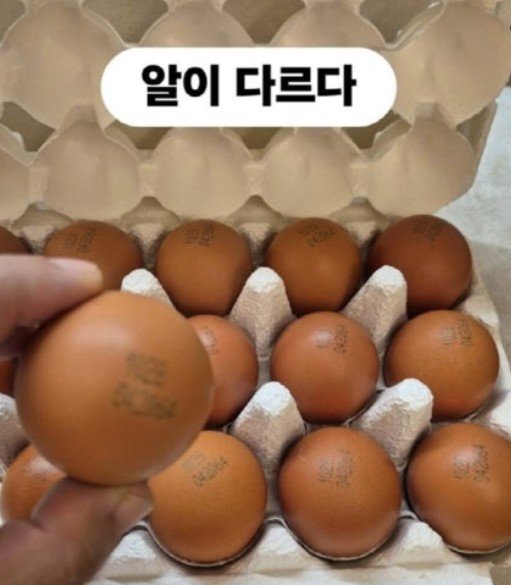 [서울=뉴시스] 해외 바카라 사이트 달걀. (사진 = 인스타그램 캡처) 2025.11.18. photo@newsis.com *재판매 및 DB 금지