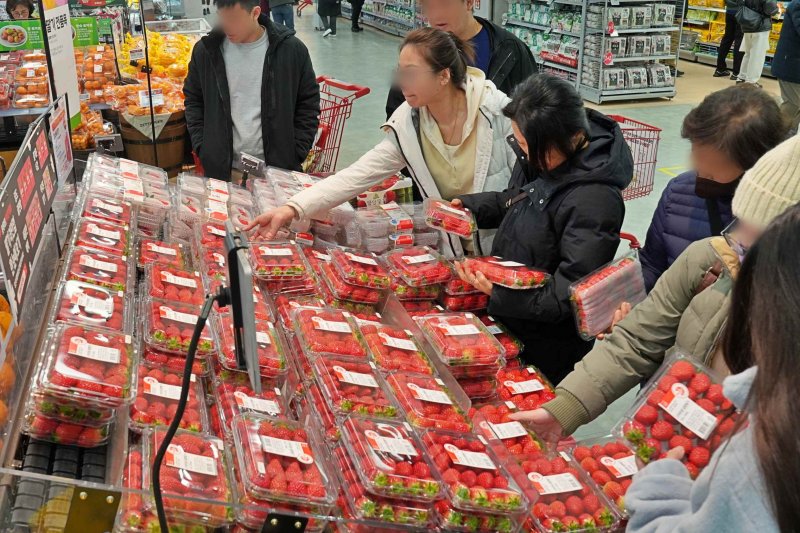 (사진=바카라 사이트 디시 제공) *재판매 및 DB 금지