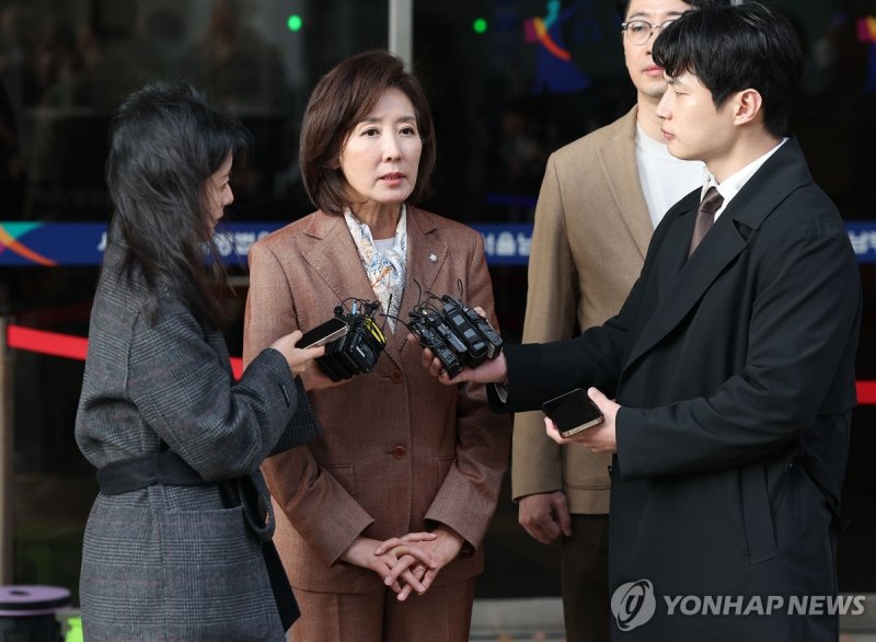 '벌금형 선고' 국민의힘 나경원 의원 (출처=연합뉴스)