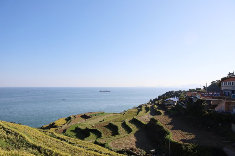 도심 벗어나 느리게 걷다 보면 소소한 행복이 천천히 따라옵니다 [Weeken... - 뉴스 썸네일 이미지