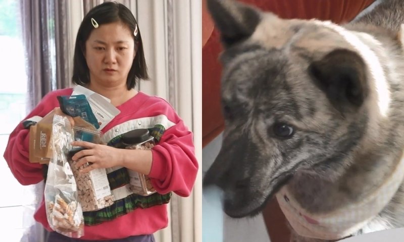 박나래, 복돌이 적응 훈련 후 허겁지겁 첫 식사…'나래머니' 등극