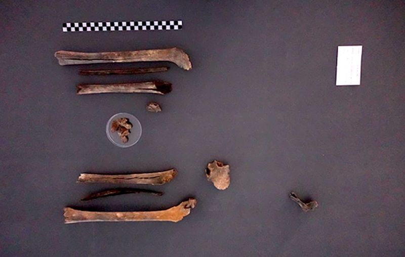 지난 2024년 11월 대구광역시 군위군에서 발굴된 고(故) 구자길 일병의 유해. 국방부 유해발굴감식단 제공