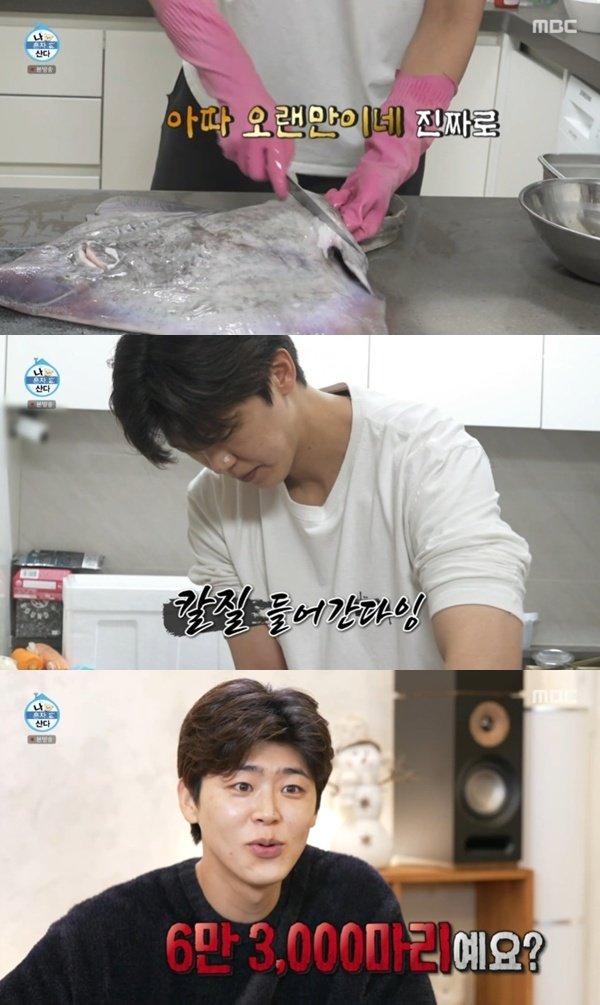 박지현, 홍어 해체 실력 공개…"하루 30마리 기본"