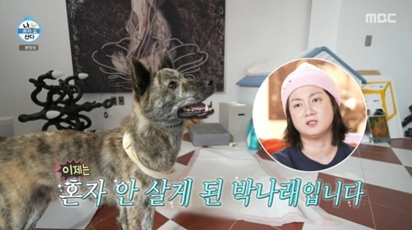 박나래 "이제는 혼자 안 살아"…반려견 복돌이와 일상 공개