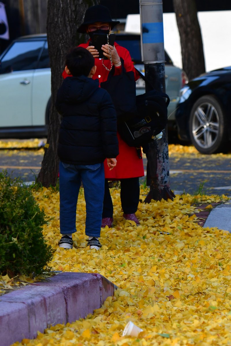 지난 17일 먹튀 없는 바카라 사이트 포항시 북구 죽도동 도로에서 한 시민이 도로에 쌓인 은행잎을 배경으로 사진을 찍고 있다. ⓒ News1 최창호 기자