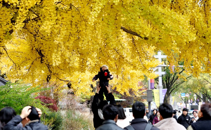 20일 바카라 사이트 먹튀 전주시 한옥마을을 찾은 시민들과 관광객들이 노랗게 물든 은행나무를 보며 늦가을 정취를 만끽하고 있다. 2025.11.20/바카라 사이트 먹튀1 ⓒ News1 유경석 기자