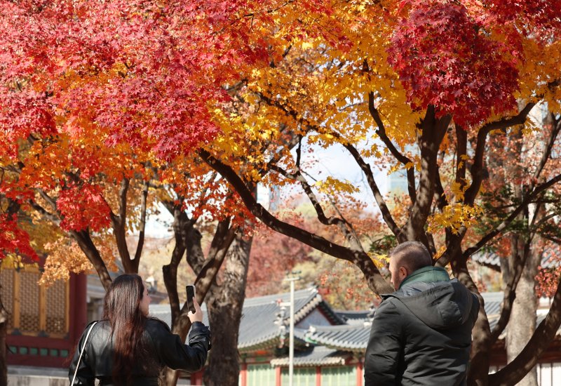 [서울=해시 게임 바카라] 이영환 기자 = 주말까지 기온이 오름세를 보이며 해시 게임 바카라 온화한 날씨가 예보된 21일 오후 서울울 중구 덕수궁에서 관광객들이 붉게 물든 단풍을 구경하고 있다. 2025.11.21. 20hwan@newsis.com