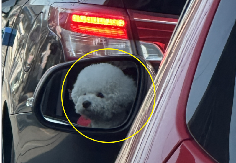 대체 저게 지금... 운전 요상하게 하는 차, 운전석에서... 소름