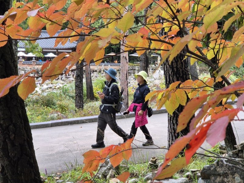 설악산 등산객. 기사 이해를 돕기 위한 자료사진.(뉴스1 DB) ⓒ News1 윤왕근 기자