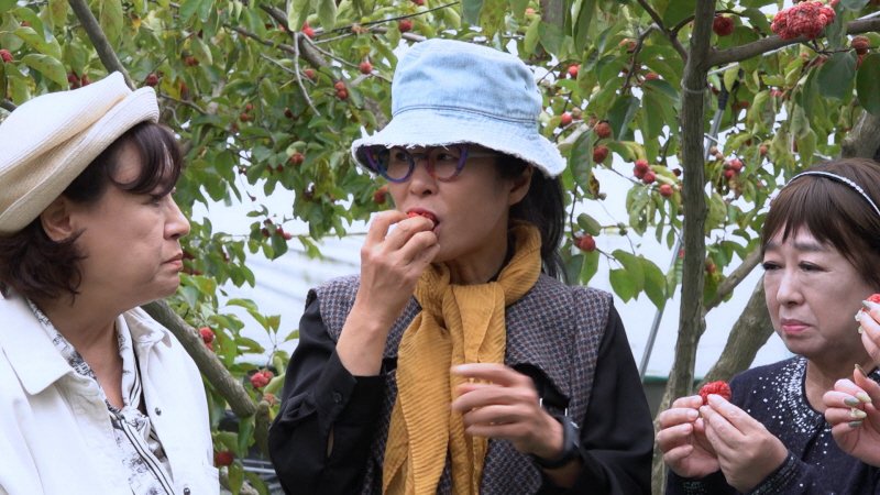 '같이 삽시다' 홍진희, 고독사 걱정…'문 두드려주는' 인연 필요해