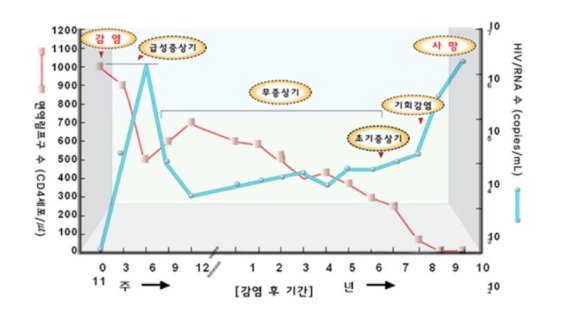 HIV 감염의 경과는 급성 증상, 임상적 무증상기, 증상 발현기의 3단계를 거친다. 사진=질병관리청