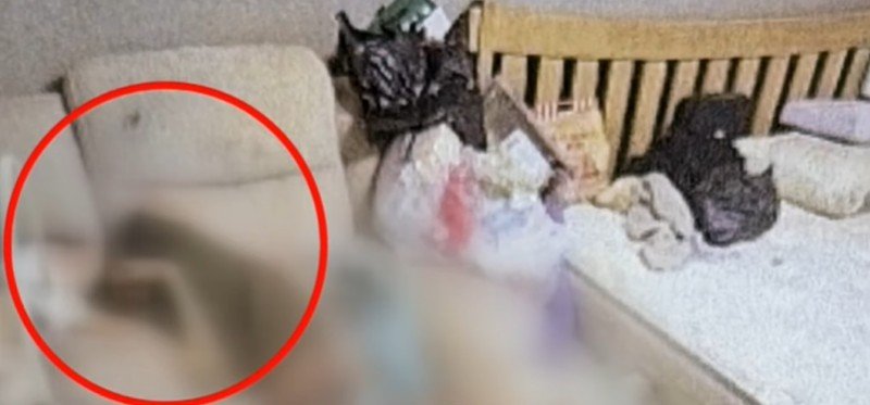 [뉴시스]부사관 A씨의 바카라사이트 아벤카지노가 오물과 뒤섞인 채 1인용 소파에 버려지듯 기대있는 모습. (사진 = JTBC 캡처) *재판매 및 DB 금지