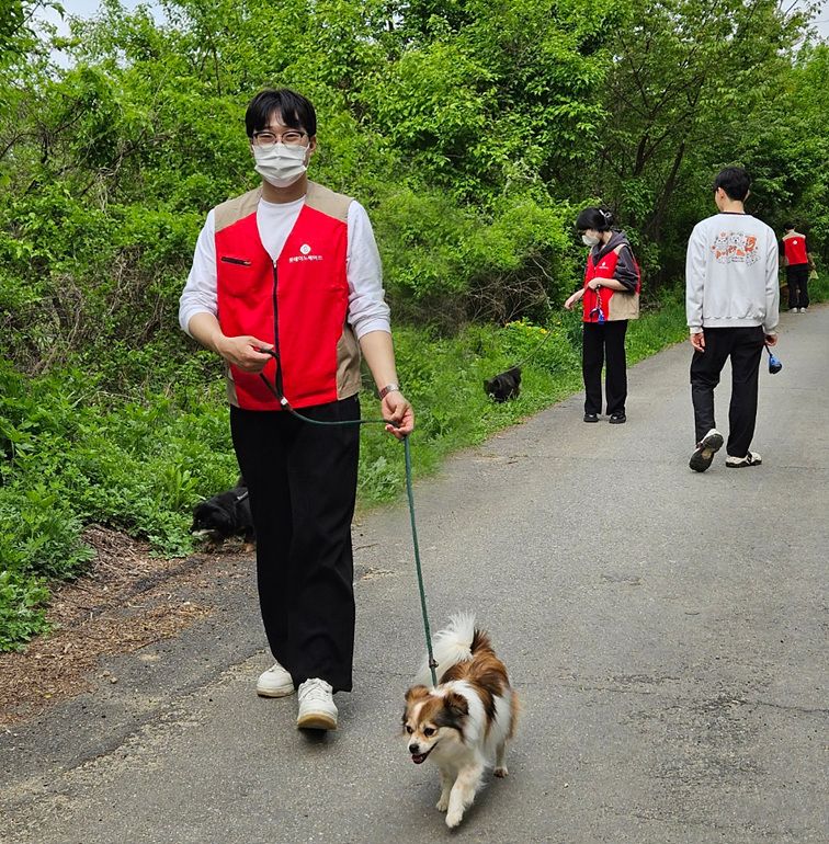 롯데이노베이트 직원들이 사내벤처로 시작한 반려동물 플랫폼 ‘헤이나나’와 함께 임직원 유기동물 보호센터 봉사활동을 하고 있다. 롯데이노베이트 제공