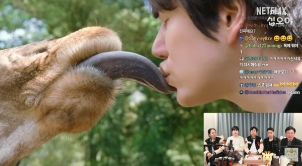 규현, 기린과 입맞춤 해명…"키스 아니고 뽀뽀다" 발끈